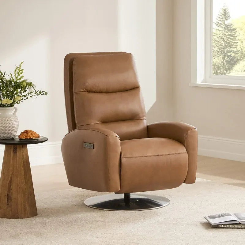 Dual Motor Power Swivel Recliner Lounge Chair