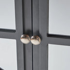 Charcoal Gray Mirrored Double Door Cabinet