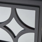 Charcoal Gray Mirrored Double Door Cabinet