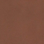 Top Grain Leather Sofa - Mid-Century Modern 3-Seater