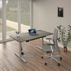 Adjustable Height Standing Desk - Espresso/White/Gray - Single User