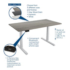 Adjustable Height Standing Desk - Espresso/White/Gray - Single User
