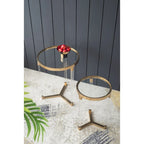 Gold & Clear Acrylic Round Side Tables - Set of 2