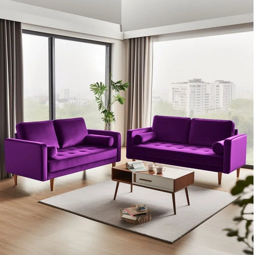 2 - Piece Velvet Living Room Set