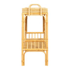 2-Tier Rattan Bar Storage Tray